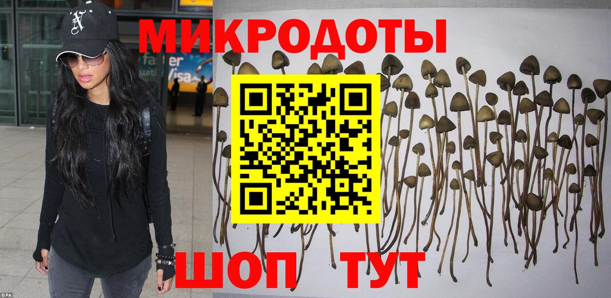 Галлюциногенные грибы мухоморы Тейково