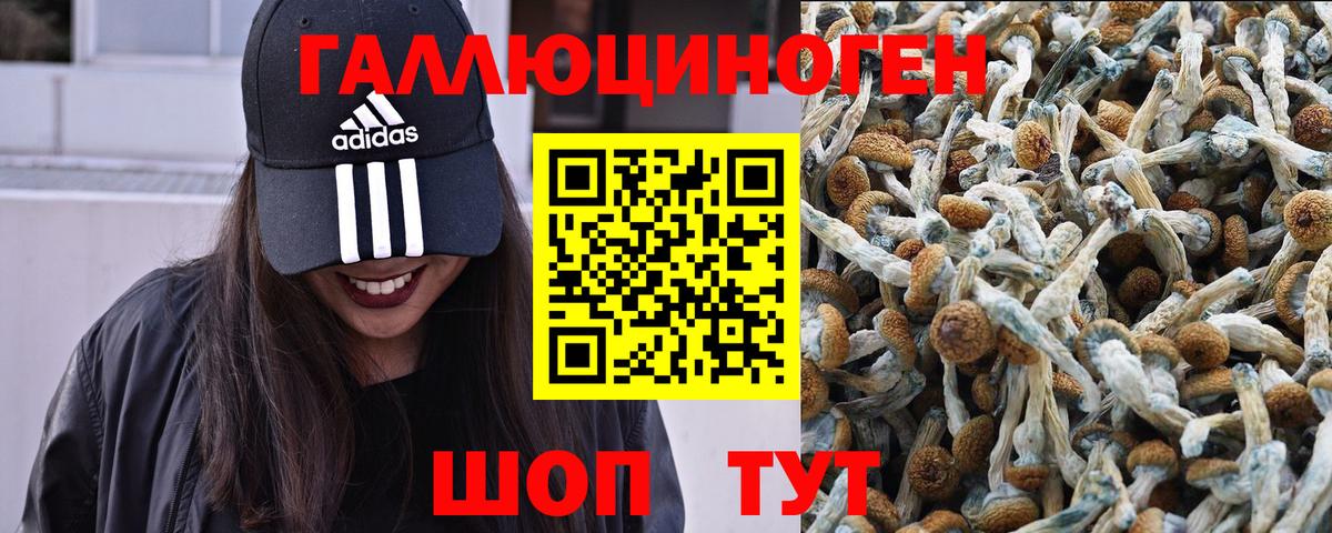 Тейково  как найти закладки  Вход с VPN  Псилоцибиновые грибы прущие грибы 